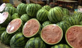 吃瓜自由的话术,揭秘娱乐圈幕后真相