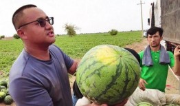 井底吃瓜,揭秘网络时代的“吃瓜群众”现象