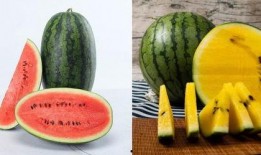 八组自由吃瓜,揭秘娱乐圈幕后故事